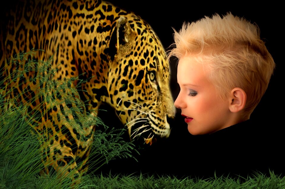 Grass romance romantic