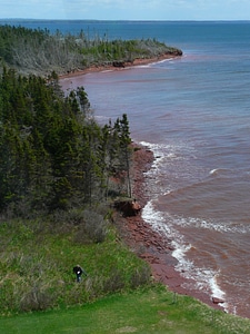 Sea ocean coast