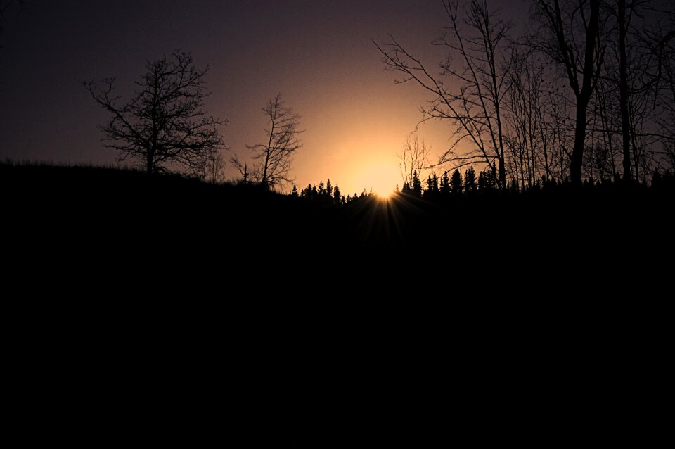 Nature silhouette