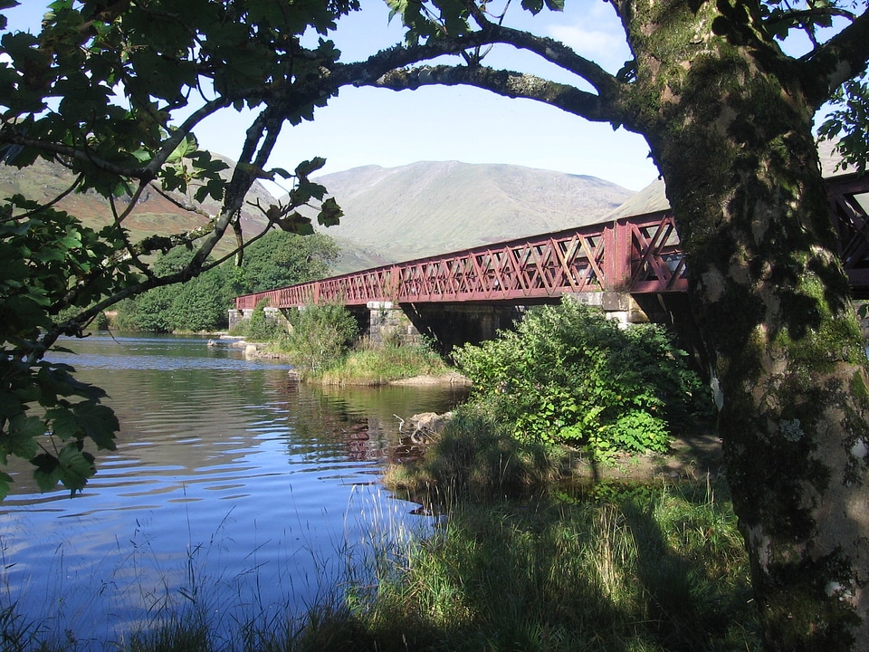 Scotland nature bridge