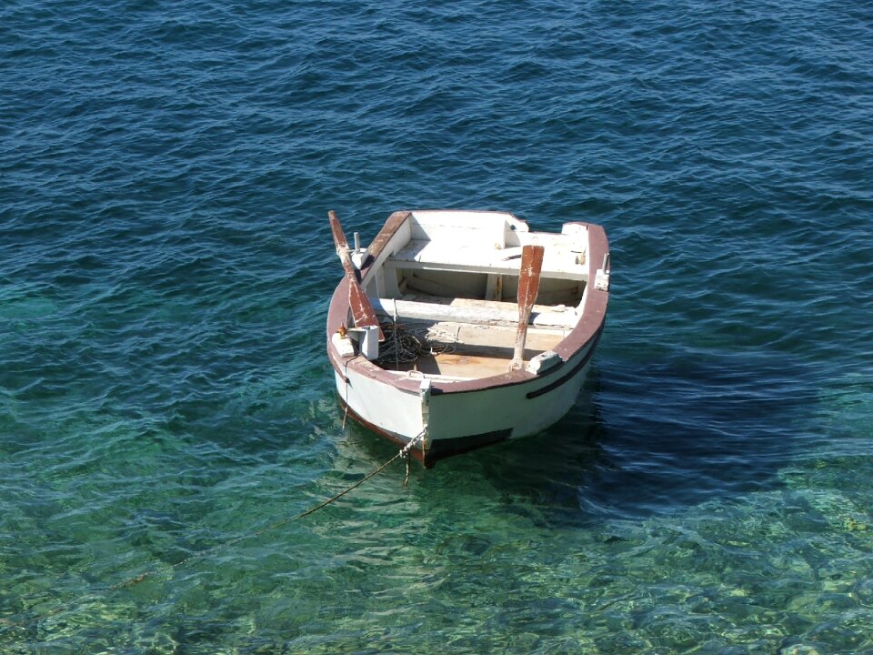 Summer fishing dalmatia