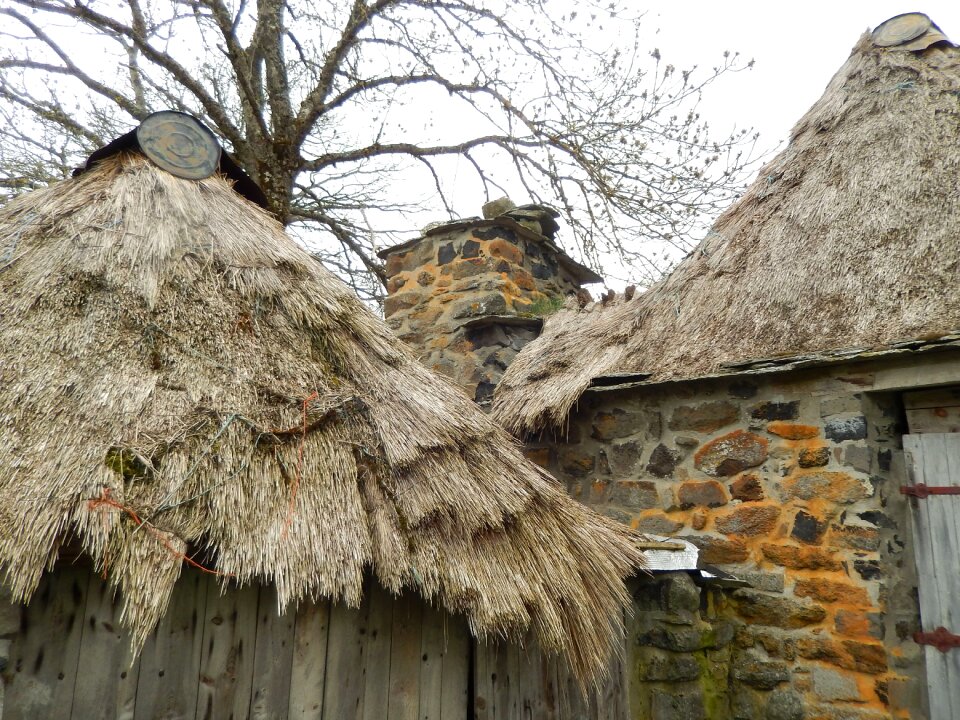 Village roof thatch