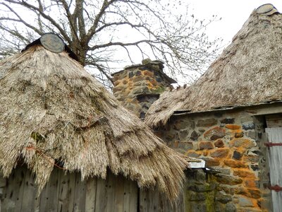 Village roof thatch