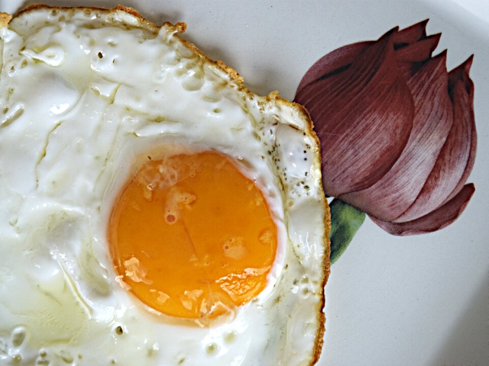 Egg food cook