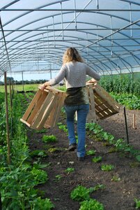 Vegetables gardener vegetable garden