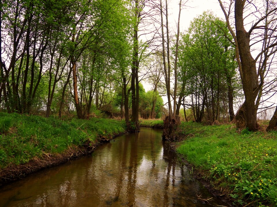 Nature landscape water