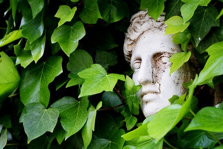 Tuscany rest garden