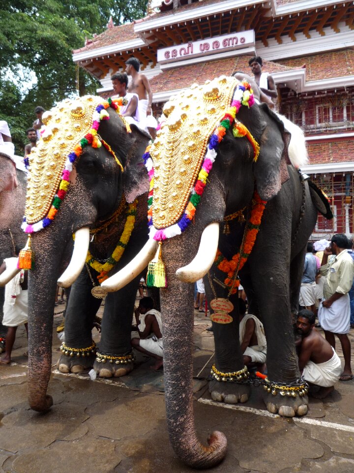 Festival south india religious