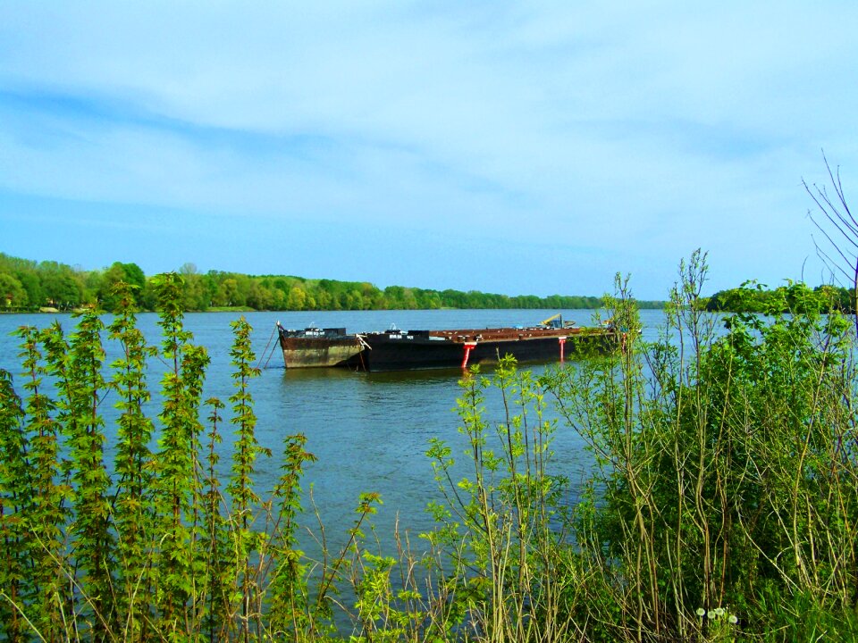 Barges danube mohács