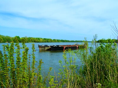 Barges danube mohács photo