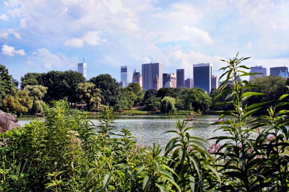 Central park skyline lake