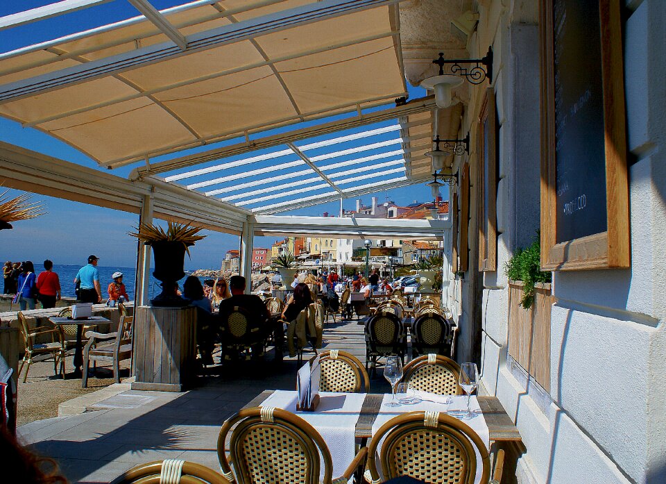 Premises restaurant chairs