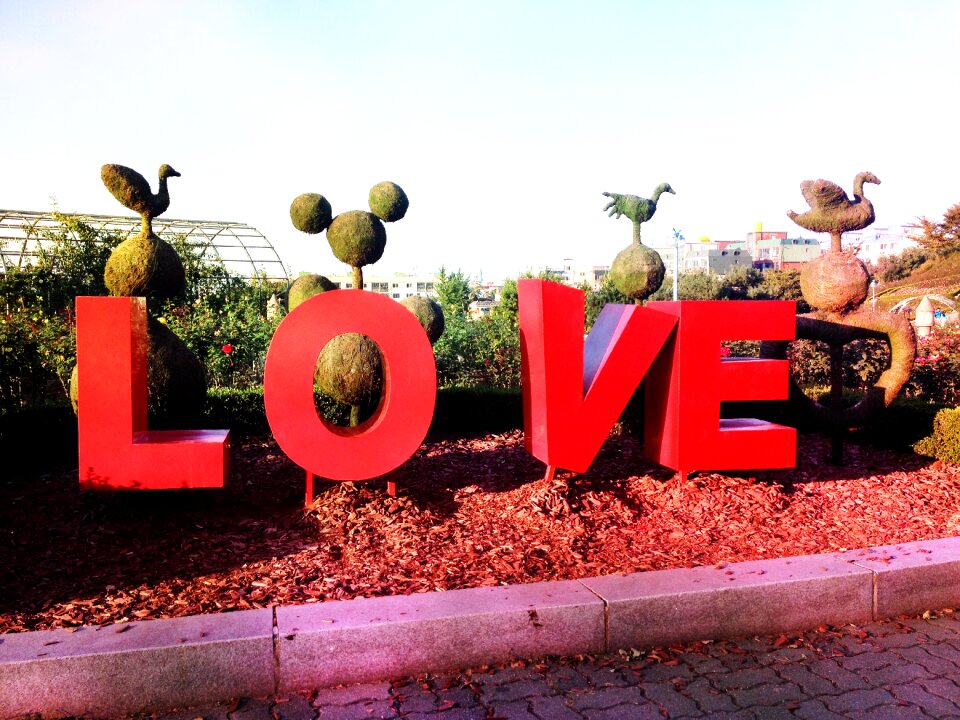 Love one million rose park Free photos