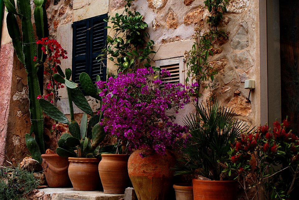 Planters mediterranean summer