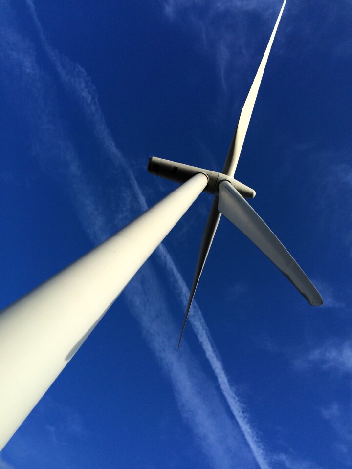 Renewable energy whitelee