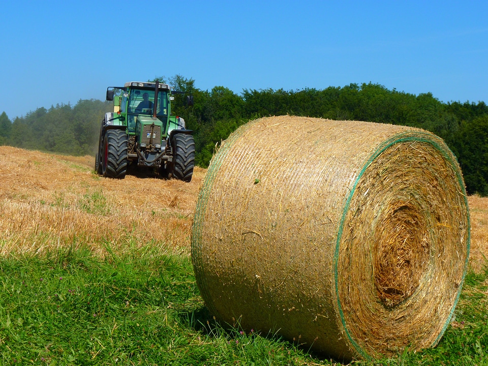 Straw round bales tractor