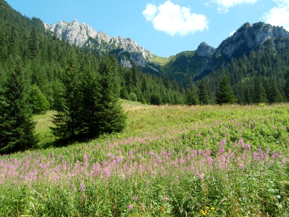 Mountains kościeliska valley landscape