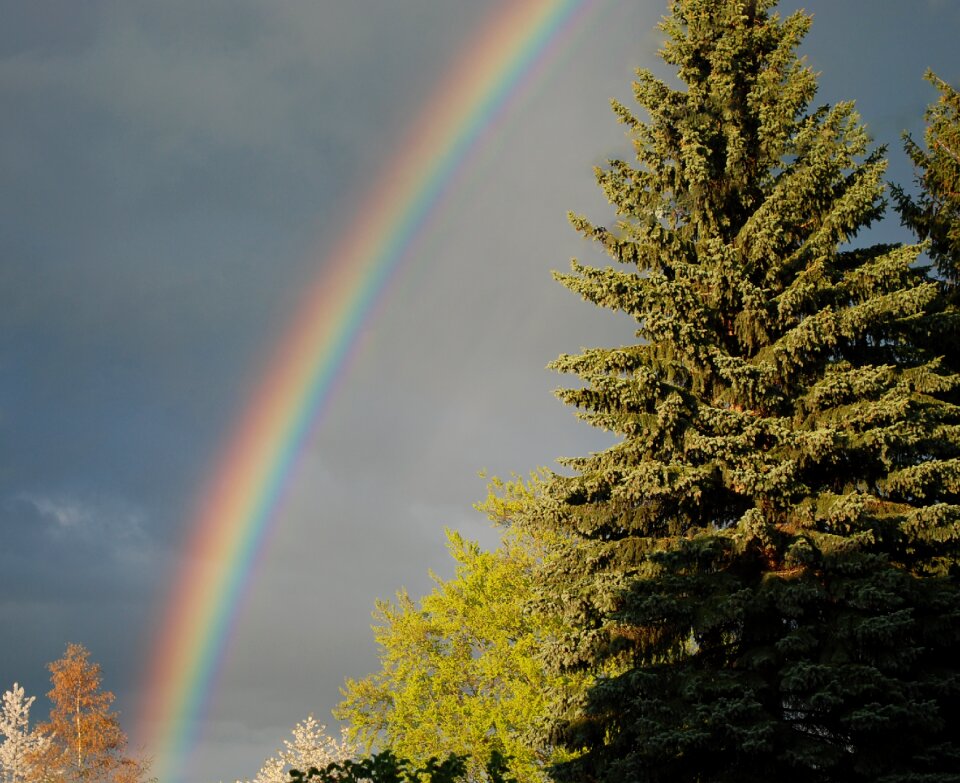 Natural phenomenon rainbow colors refraction