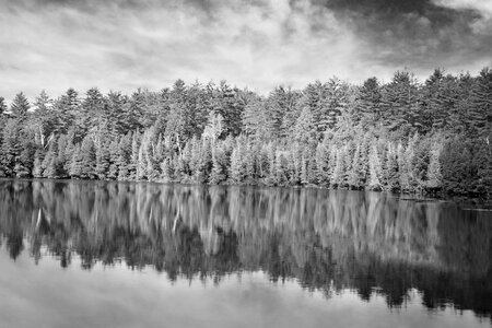 Black and white water reflections photo