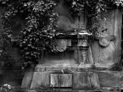 Cemetery grieve transience photo