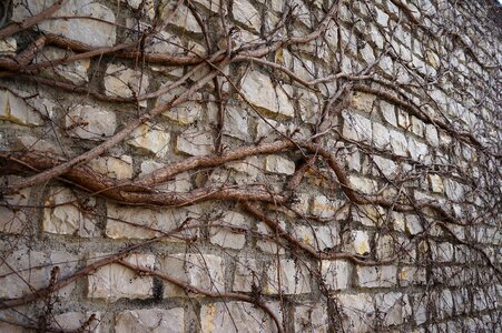 Amber trailer stone wall