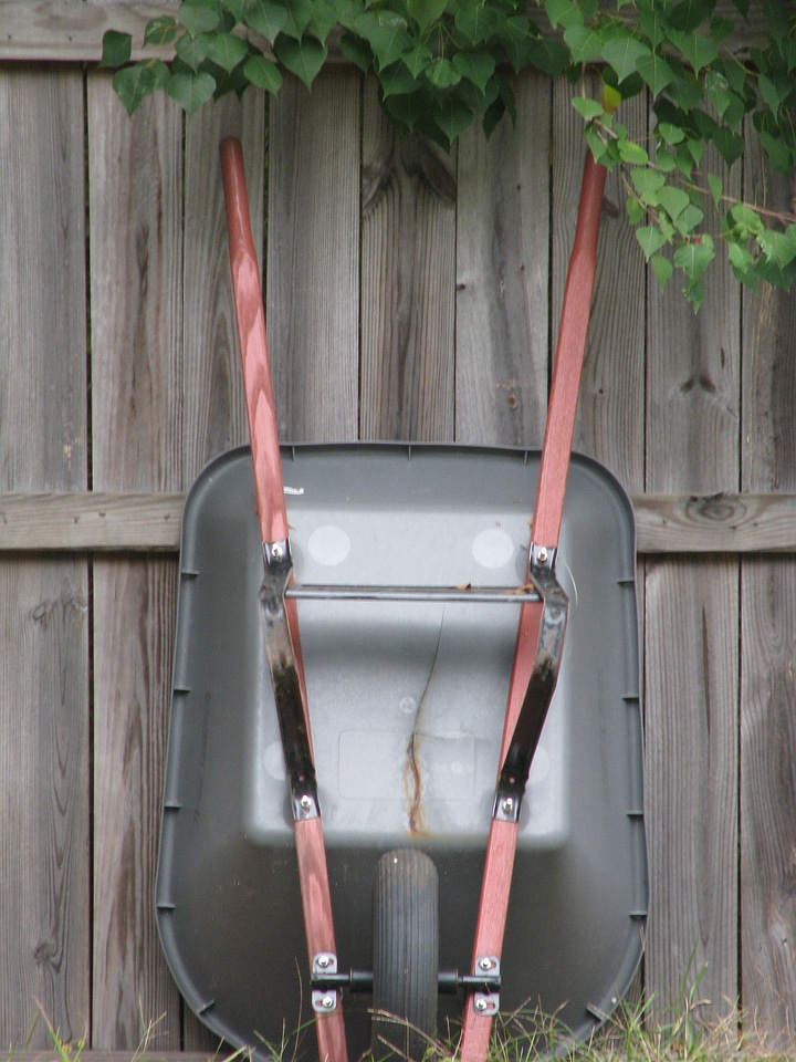 Tree gardening equipment photo