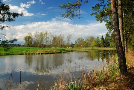 Signs of spring pond blue sky photo
