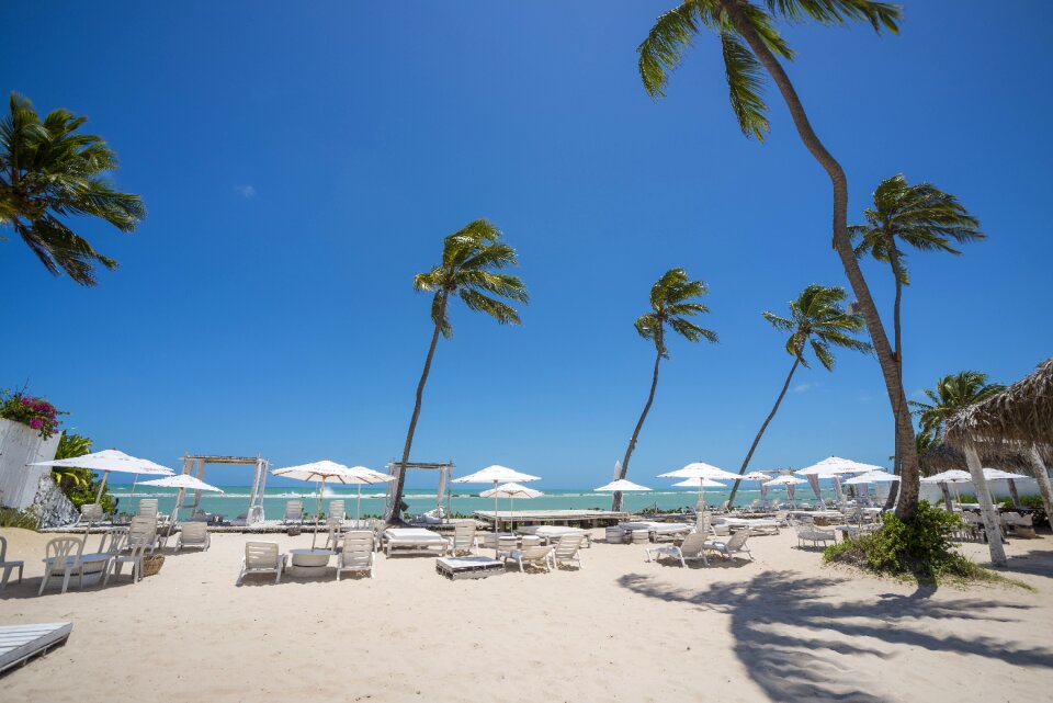 Maceió alagoas beach