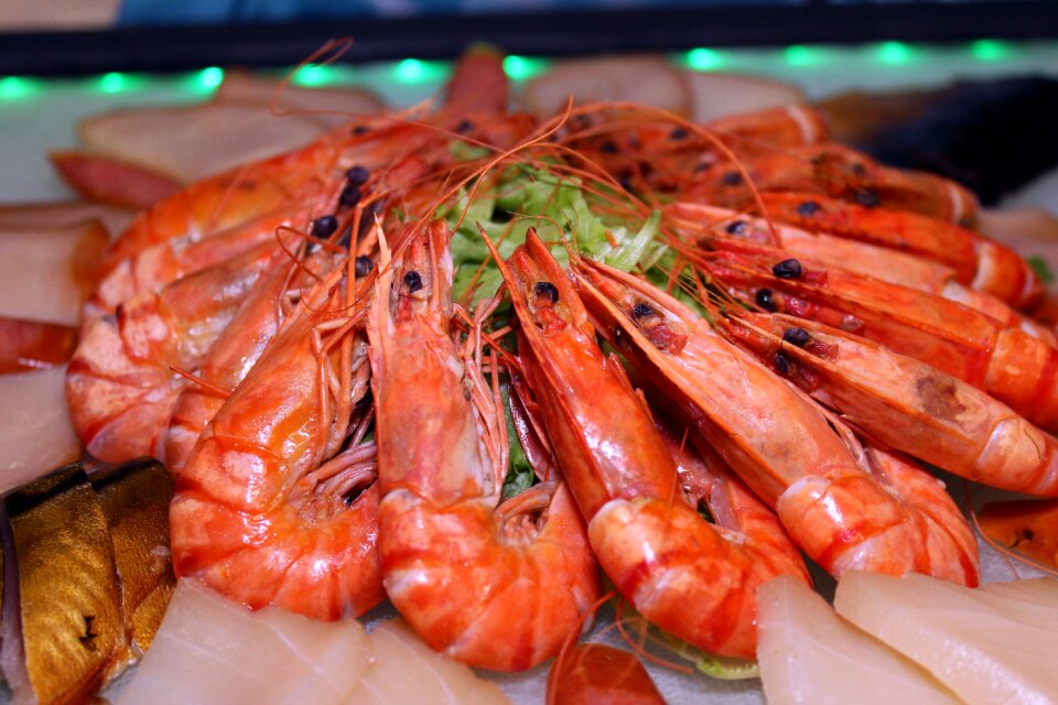 Food seafood delicious