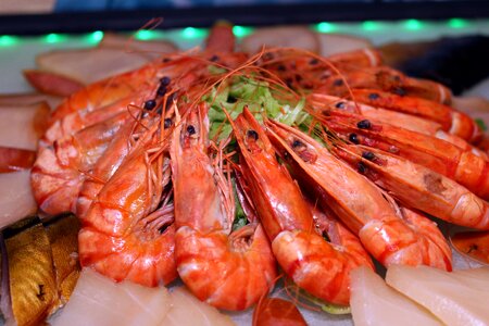 Food seafood delicious