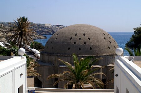 Dome sea palm