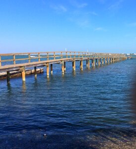 West florida blue key