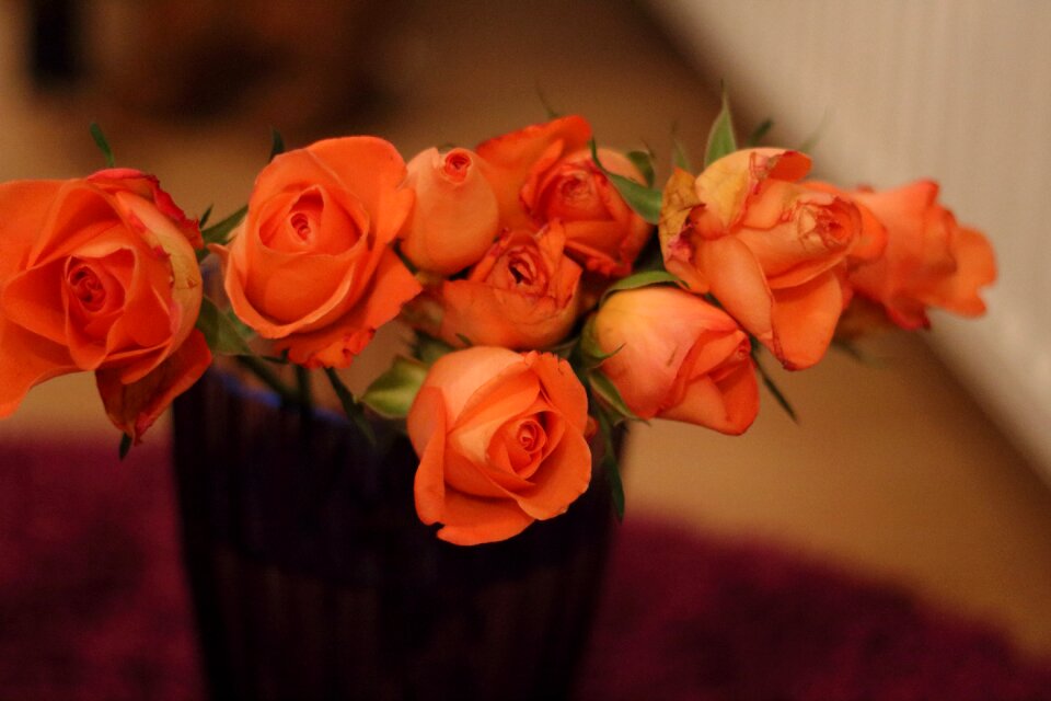 Flower orange corsage
