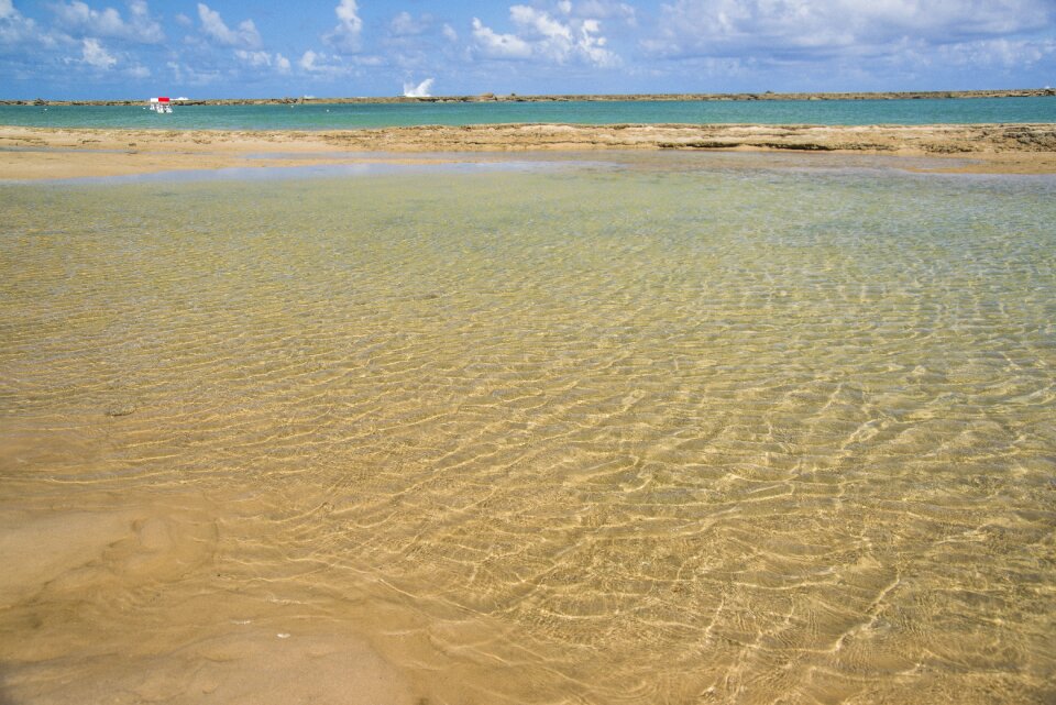 Beach natural swimming pool bar