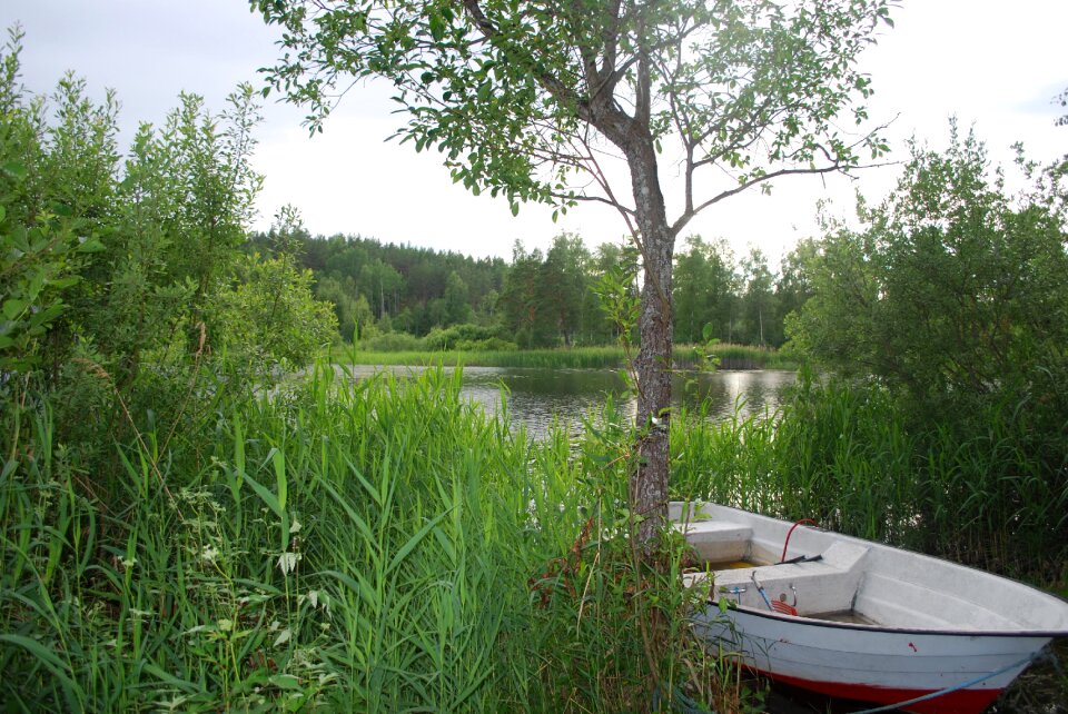 Water nature sweden