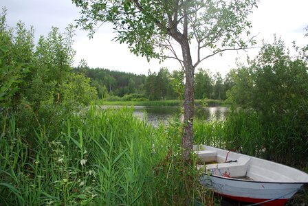Water nature sweden photo
