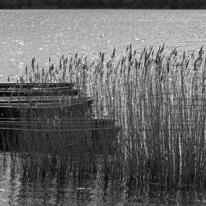 Port landscape web