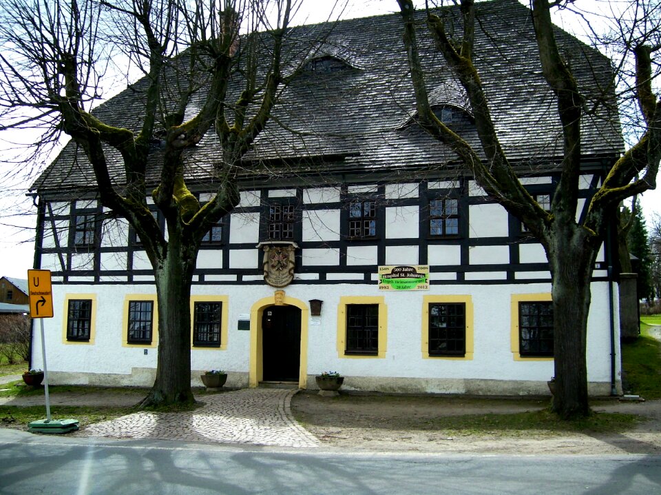 Museum architecture trees