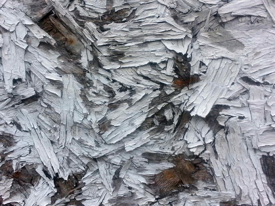 Garage door board texture photo