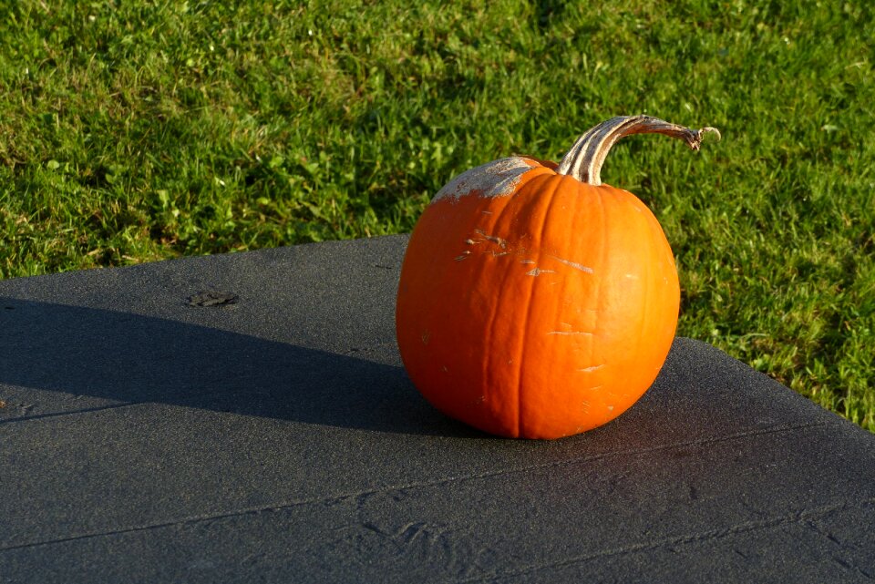 Autumn orange exterior