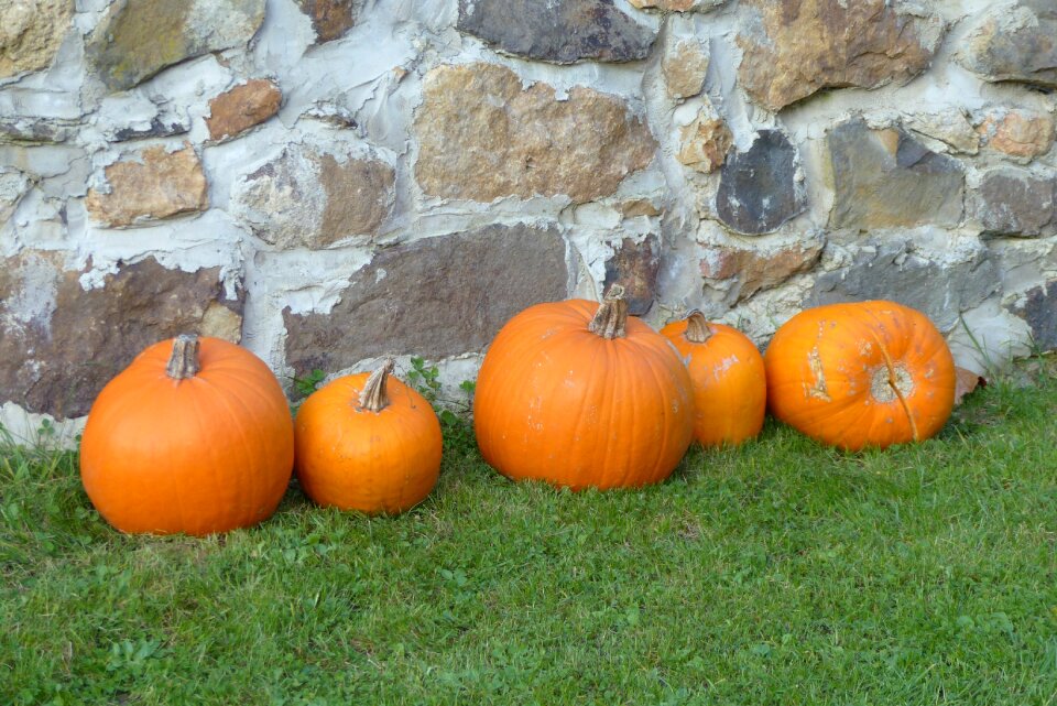 Autumn exterior lawn