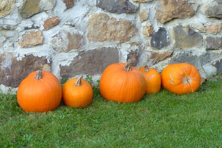 Autumn exterior lawn