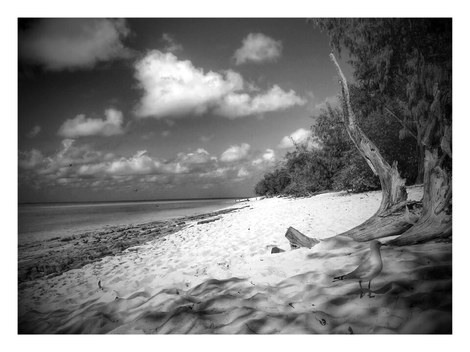 Scenery landscape ocean