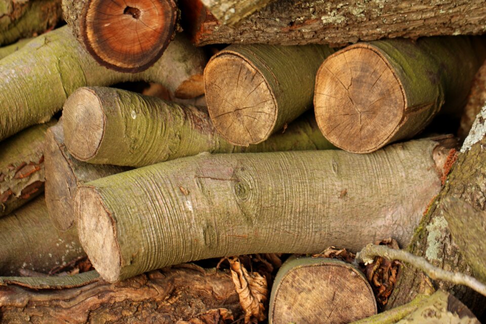 Timber lumber forest