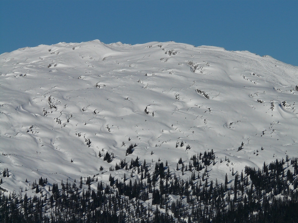 Mountain alpine kleinwalsertal