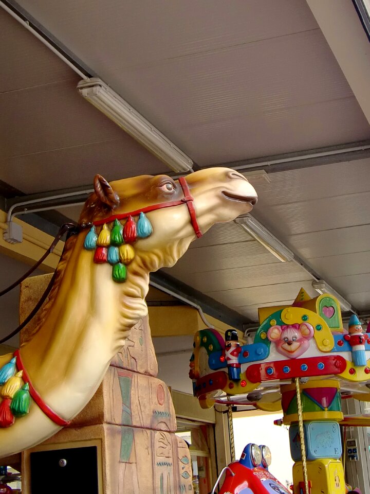 Caravan head animal head