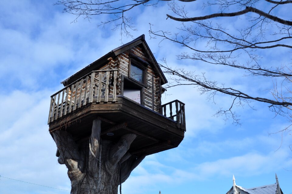 In tree house abnormal architecture