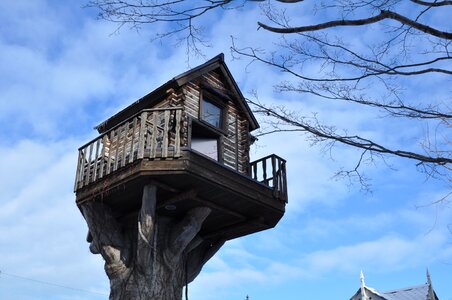 In tree house abnormal architecture