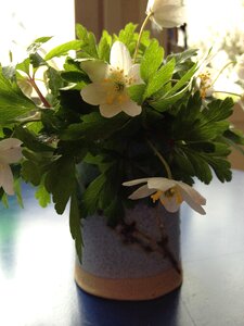 White green spring