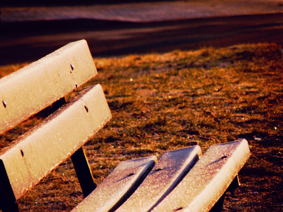 Park lawn park bench photo